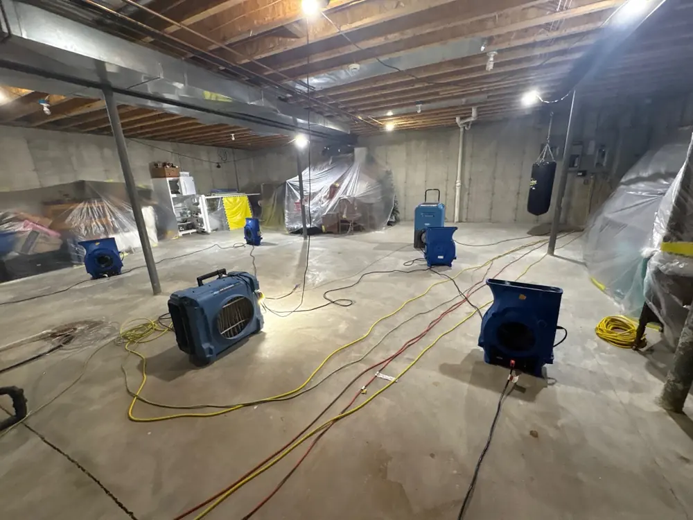 Water damage restoration crew working in Lake San Marcos, CA