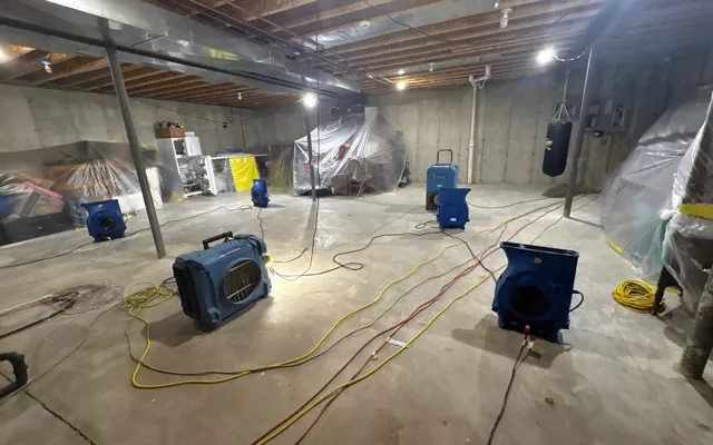 Basement Flood Cleanup in Carlsbad, CA