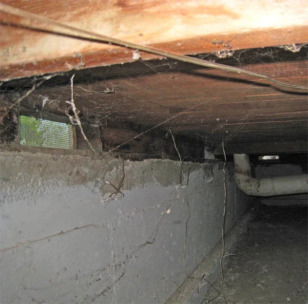 Crawlspace Water Removal in a Carlsbad home