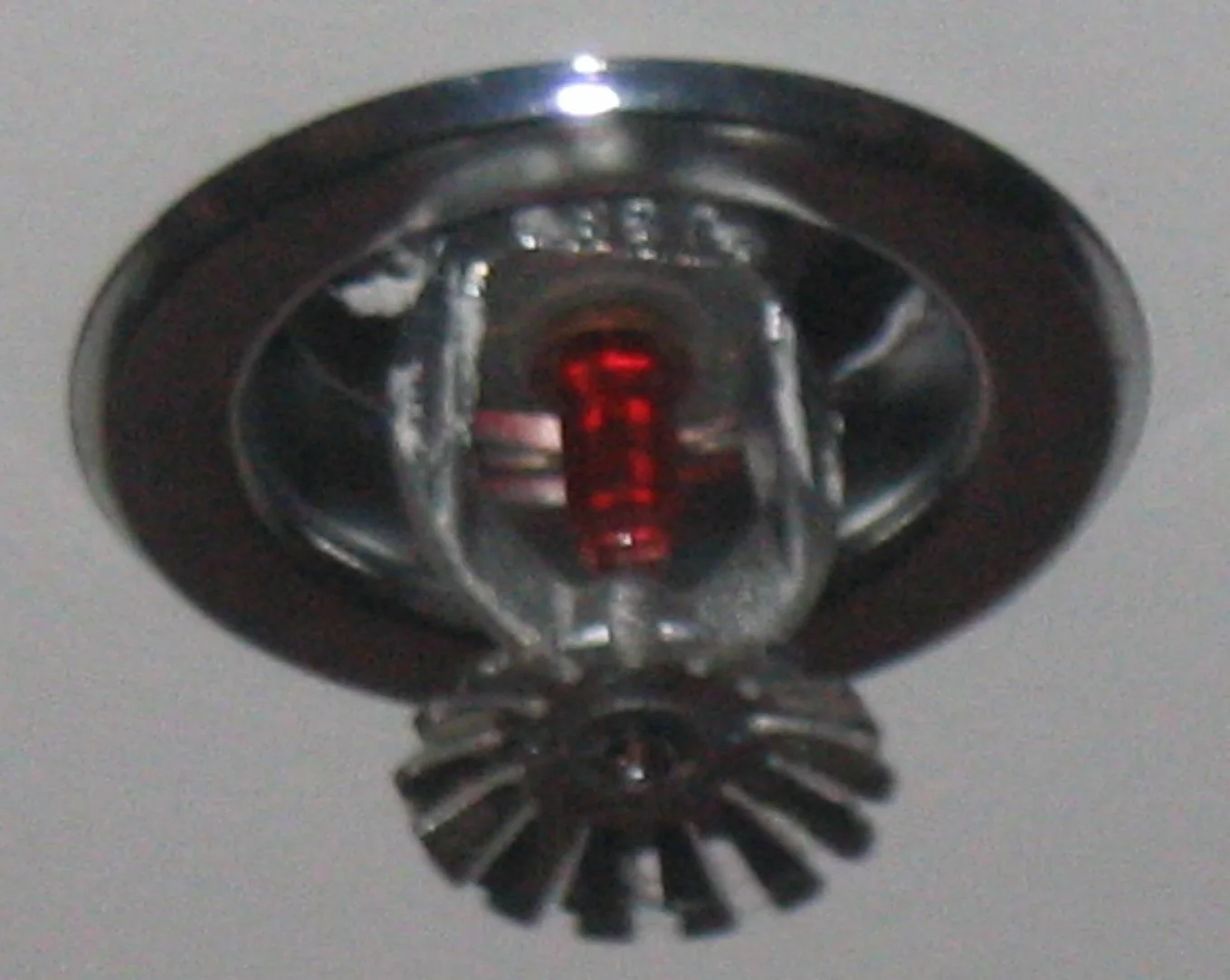 Fire Sprinkler Discharge in a Carlsbad home