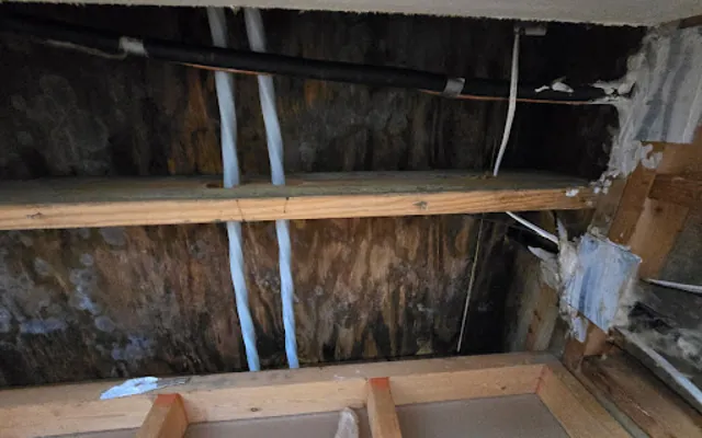 Roof Leak Water Damage in Carlsbad, CA