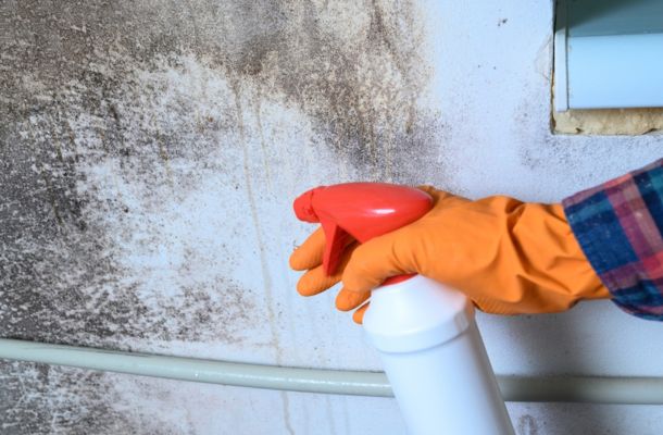 Mold Remediation Carlsbad, California