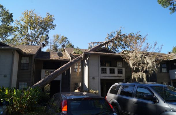 Storm Damage Restoration Carlsbad, California